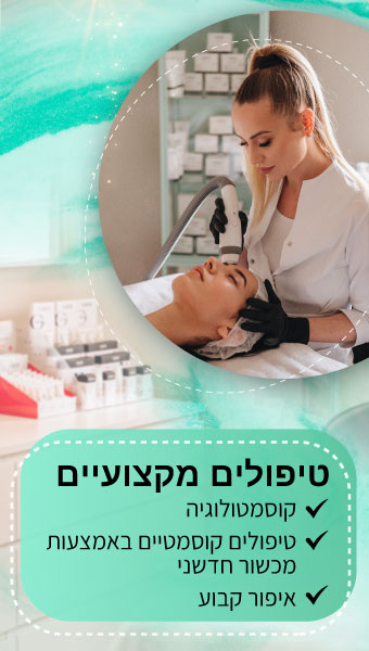 340х600_Профессиональные_услуги_иврит